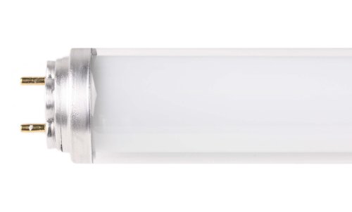 Philips Master TL-D Xtreme Polar 18W 840 Cool White 590mm 89299725